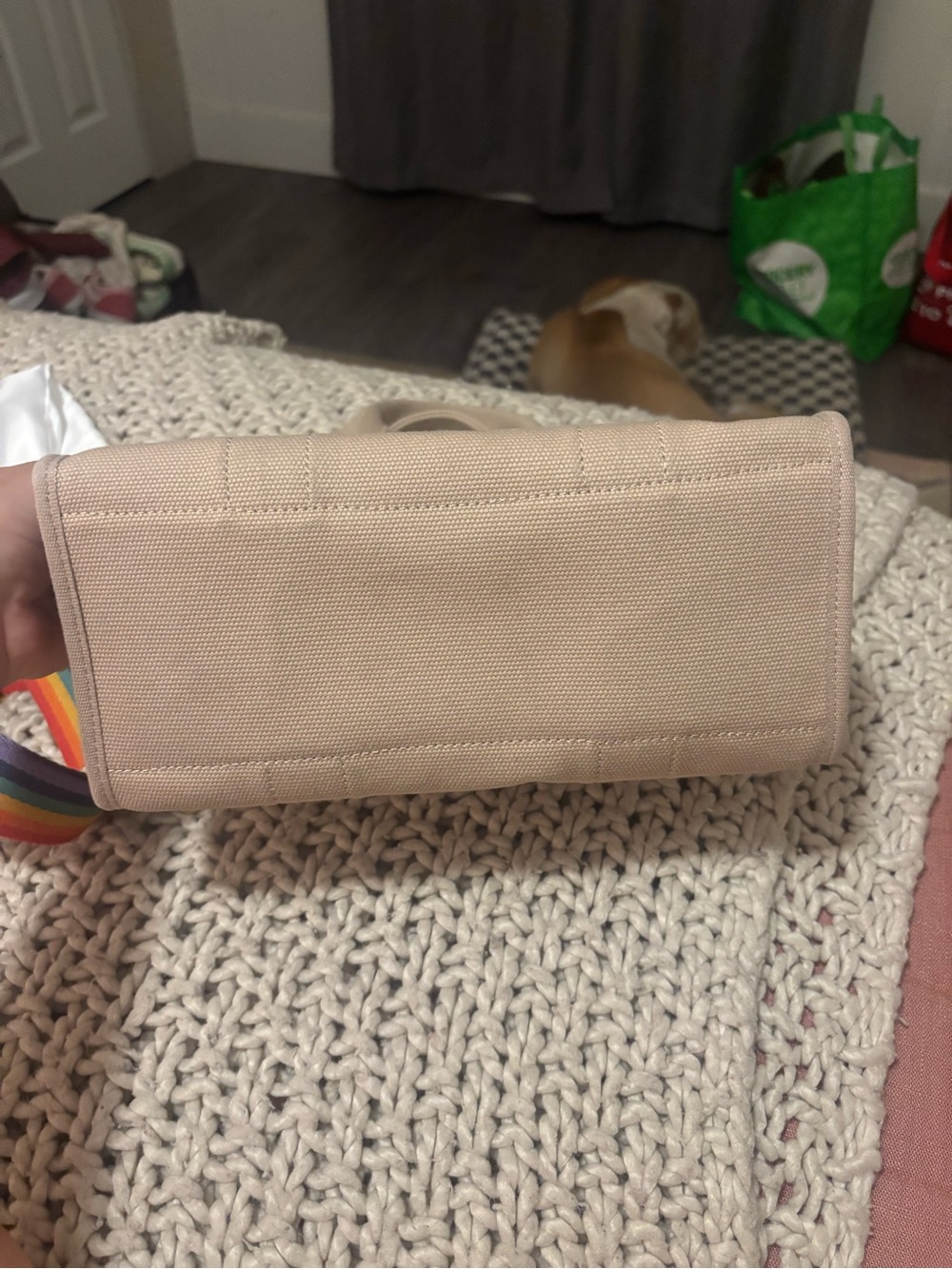 Coach Beige Canvas Tote with Rainbow Appliqués and Striped Strap - Picture 5 of 11